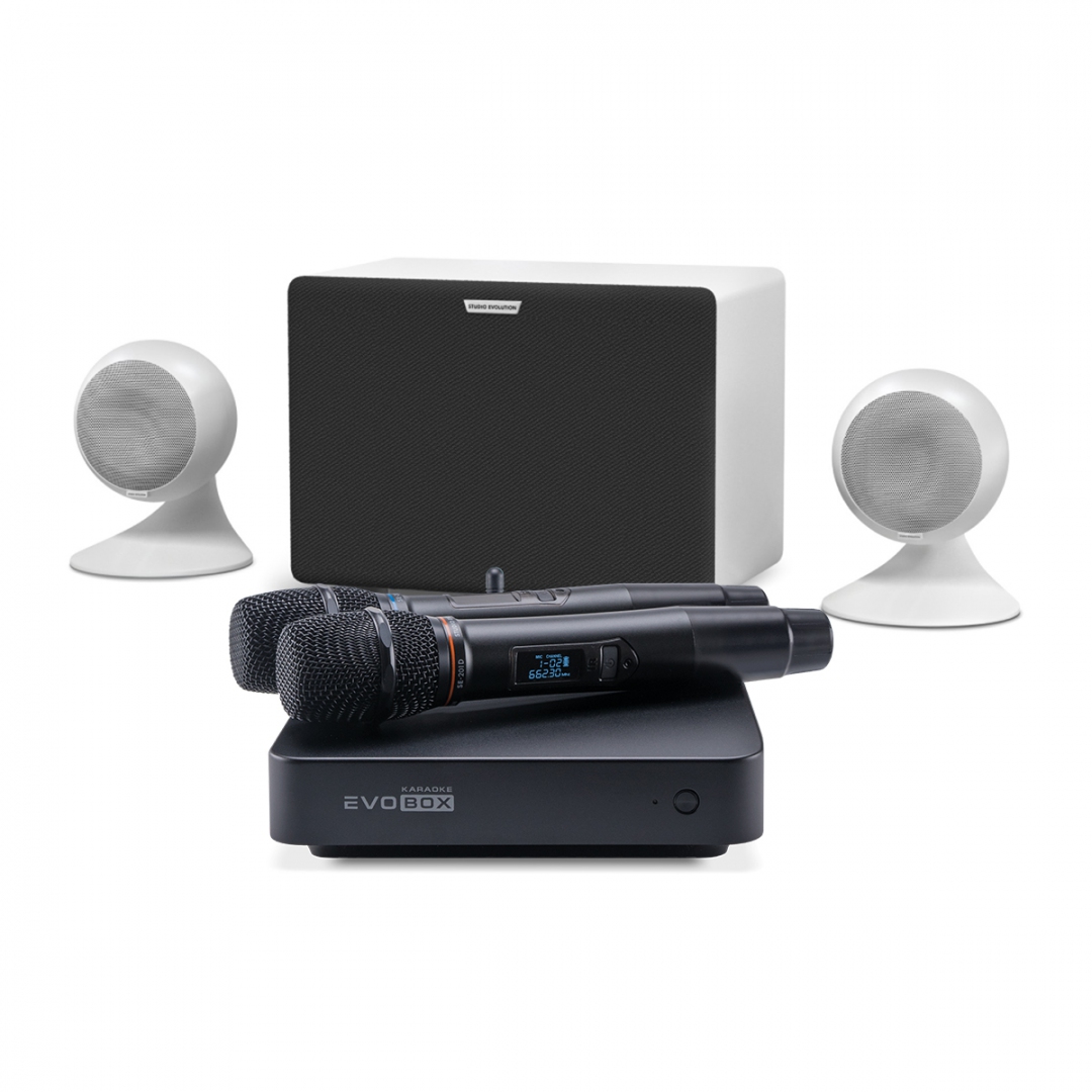 караоке-комплект EVOBOX Classic + EvoSound Sphere 2.1 в Дербенте