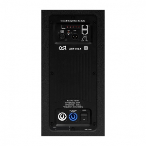 Активная акустическая система AST-310A в Дербенте