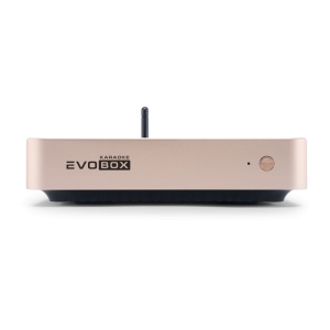 EVOBOX Classic караоке-система для дома в Дербенте