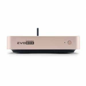 EVOBOX Plus караоке-система для дома в Дербенте