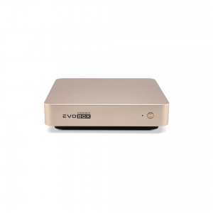 EVOBOX с микрофонами в Дербенте